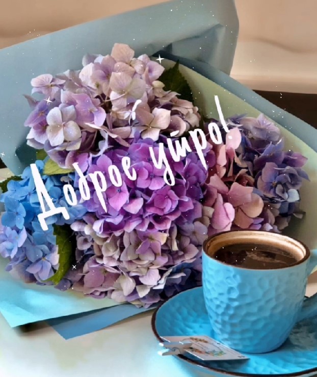 Цветы и чашечка чаю поднимут настроение этим утром