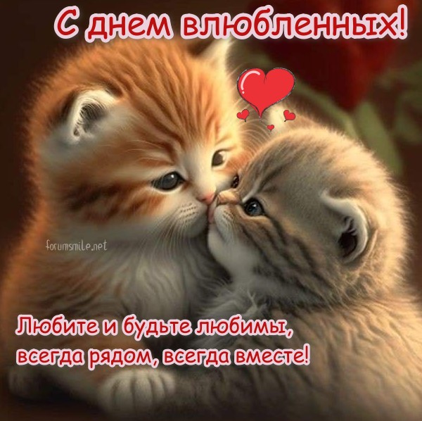 Открытка с котиками - С днем Св. Валентина