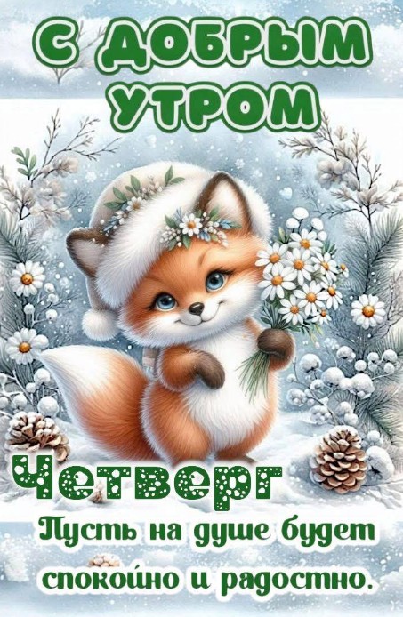 Пусть четверг будет спокойным и с чудесным настроением!