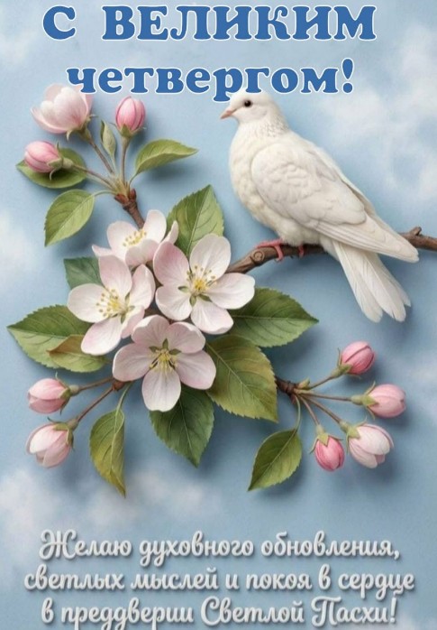 Белый голубь сидит на цветущей ветке яблони, поздравительная открытка с Великим четвергом