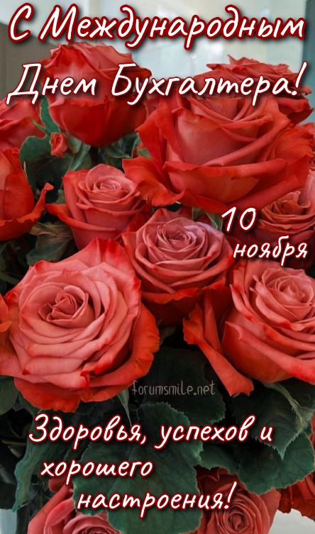 Картинка с красивыми красными розами специально на День бухгалтера 10 ноября
