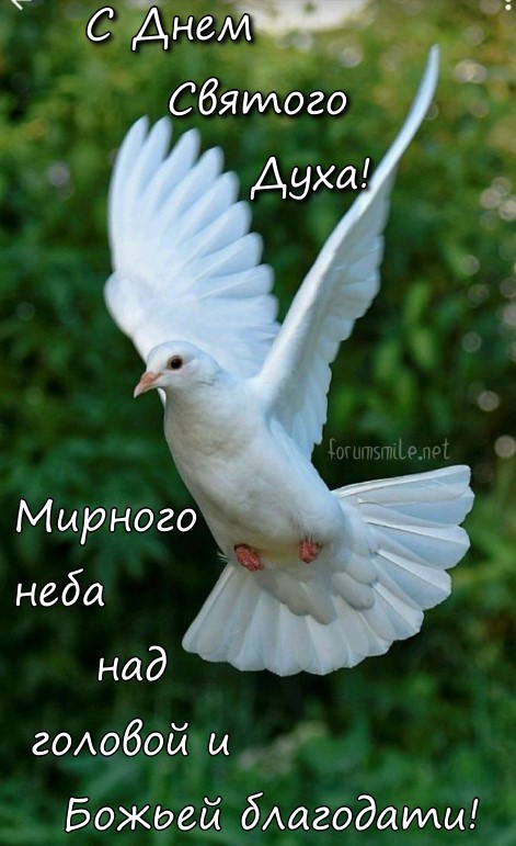 С Днем Святого духа, мирного украинского неба головой и Божьей благодати