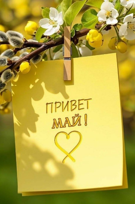 Красивая открытка Привет Май с весенними цветами