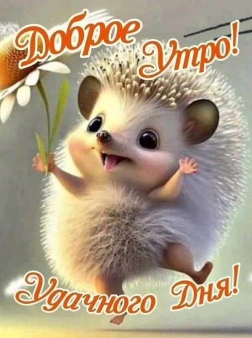 Открытка доброе утро и удачного дня с ёжиком