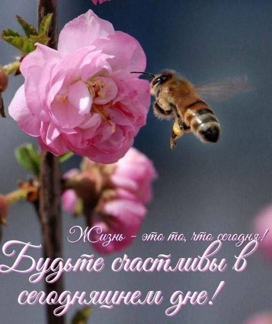 Жизнь - это то, что сегодня! Будьте счастливы в сегодняшнем дне!