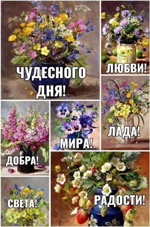 Чудесного дня, мира, любви, добра, света, радости