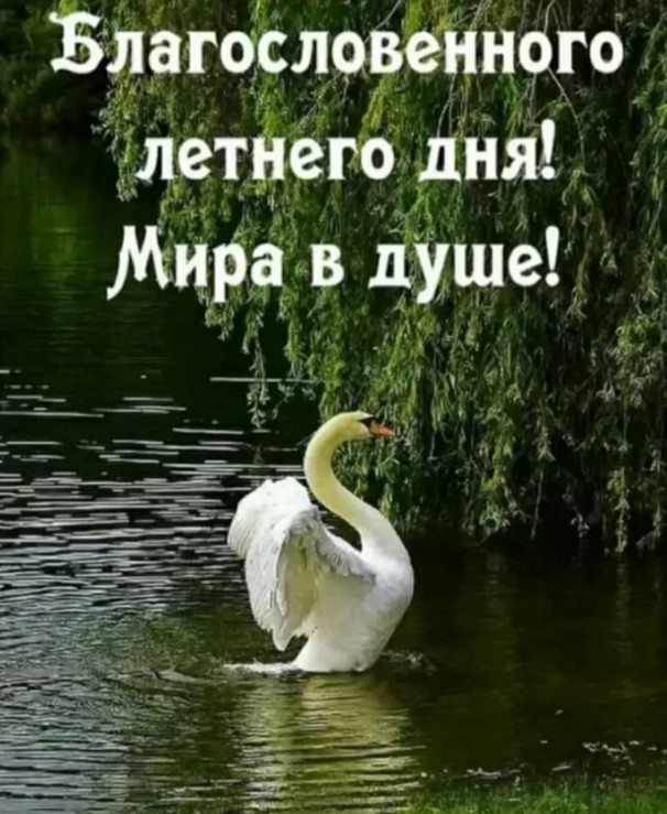 Благословенного летнего дня, мира в душе