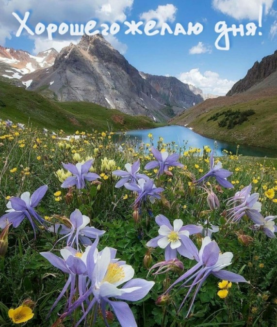 Хорошего желаю дня!
