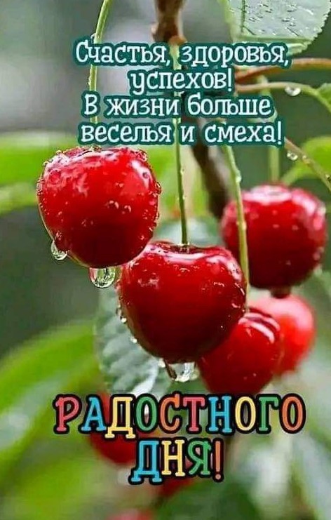 Радостного дня, в жизни побольше веселья и смеха!