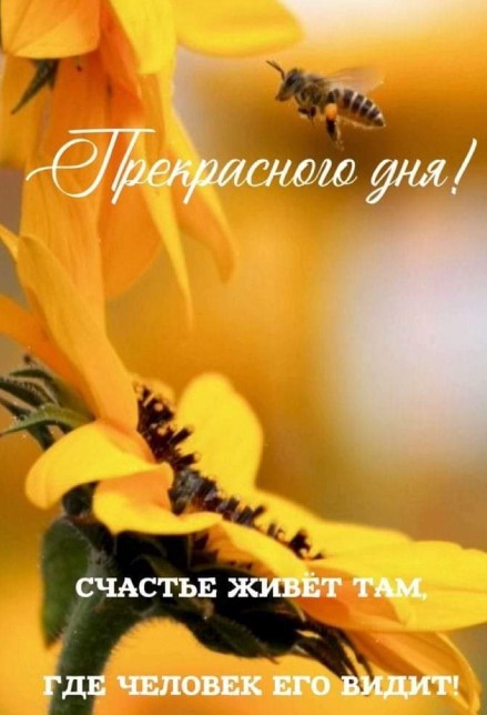 Прекрасного дня, счастье живет там, где человек его видит