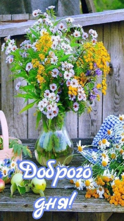 Картинка з букетом полевых цветов, доброго вам дня!