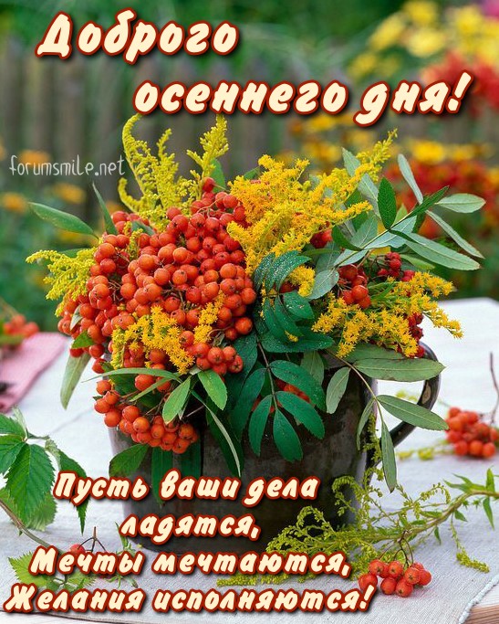Доброго осеннего дня, пусть ваше дела ладятся, а мечты сбываются