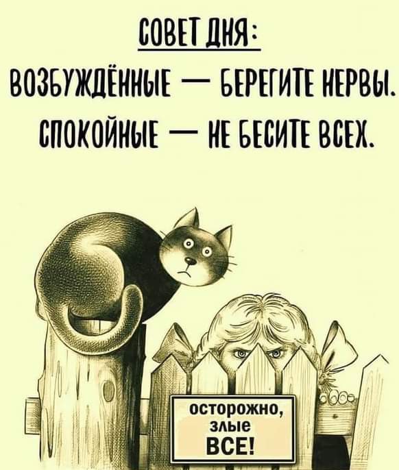 Возбудеженные - берегите нервы, спокойные  - не бесите всех
