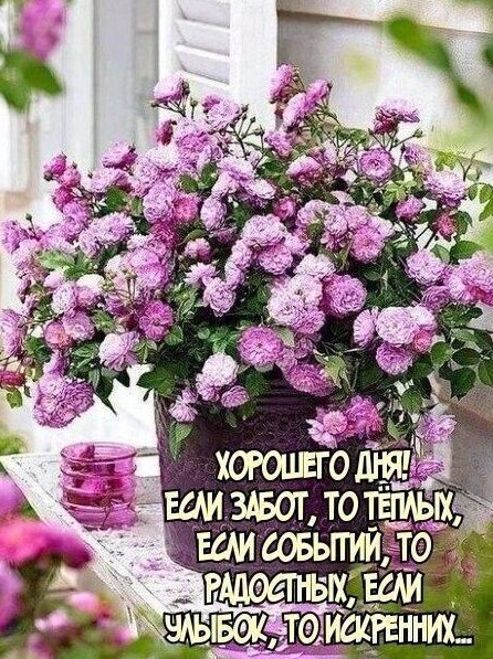 Хорошего дня, радостных событий, искренних улыбок