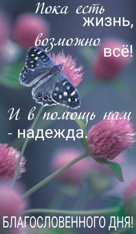 Пока есть жизнь возможно все!
