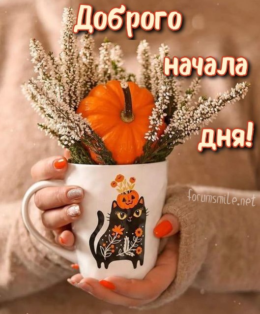 Доброго начала дня!