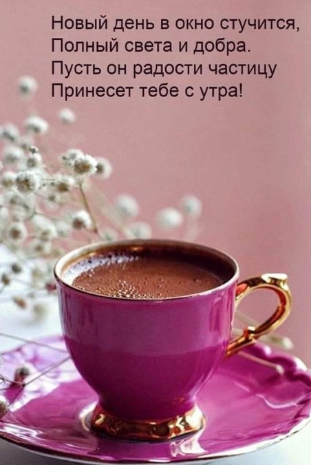 Новый день в окно стучится, полный света и добра