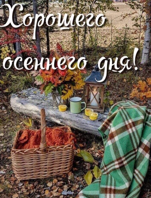 Желаю хорошего осеннего дня!