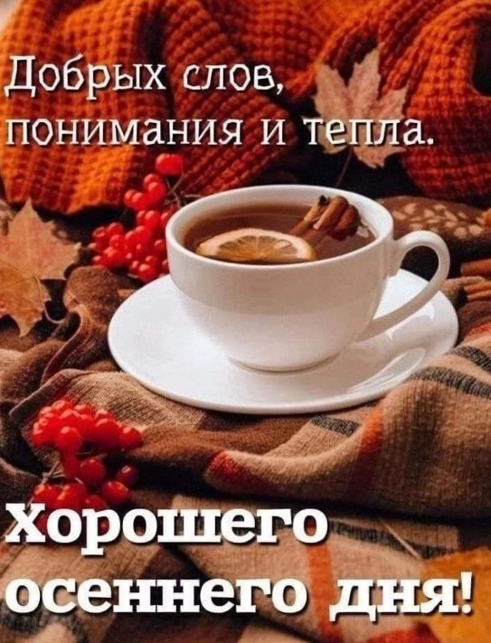 Добрых слов, понимания и тепла. Хорошего осеннего дня!