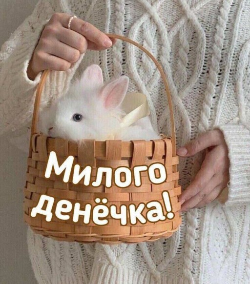 Картинка с ушастым кроликом в корзинке, милого денечка!