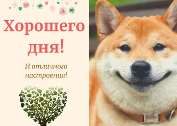 Хорошего дня и отличного настроения. Главное - улыбка!