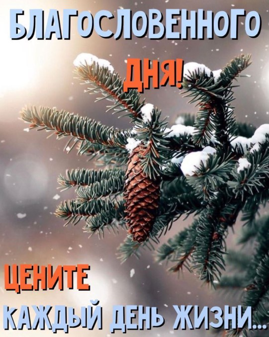 Картинка с пожеланием Благословенного дня