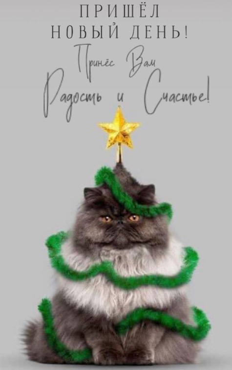 Пришёл новый день, принес вам радость и счастье!