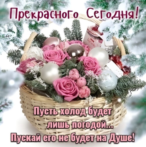 Прекрасного сегодня! Пусть холода не будет на душе!
