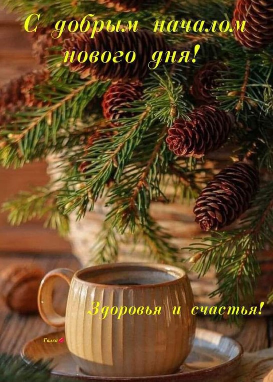 С добрым началом нового дня!
