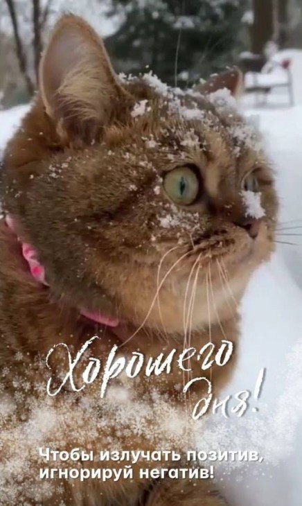 Чтобы излучать позитив, игнорируй негатив!