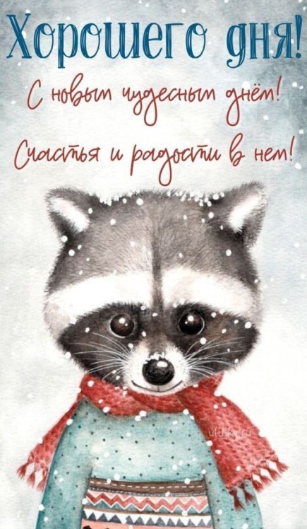 С Новым чудесным днем, счастья и радости желаю в нем!