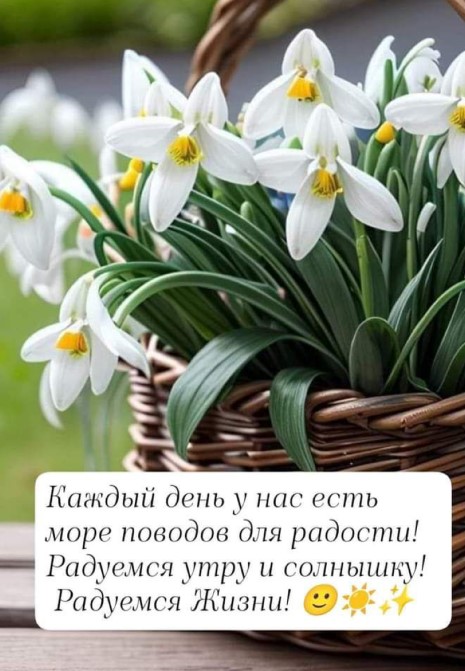 Радуемся теплу и солнышку, радуемся жизни!