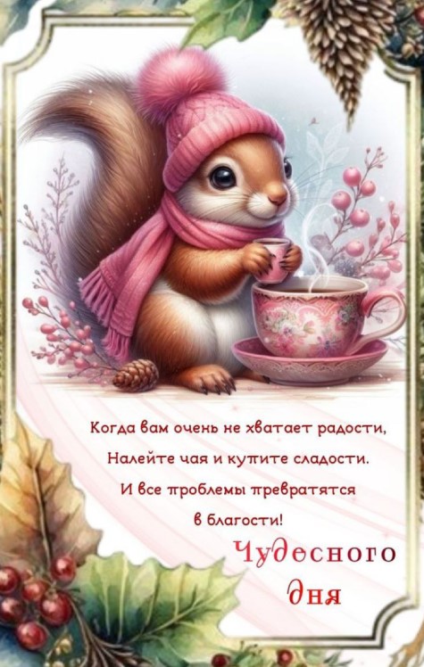 Когда не хватает радости, налейте чая и купите сладости. И все проблемы превратятся в благости!