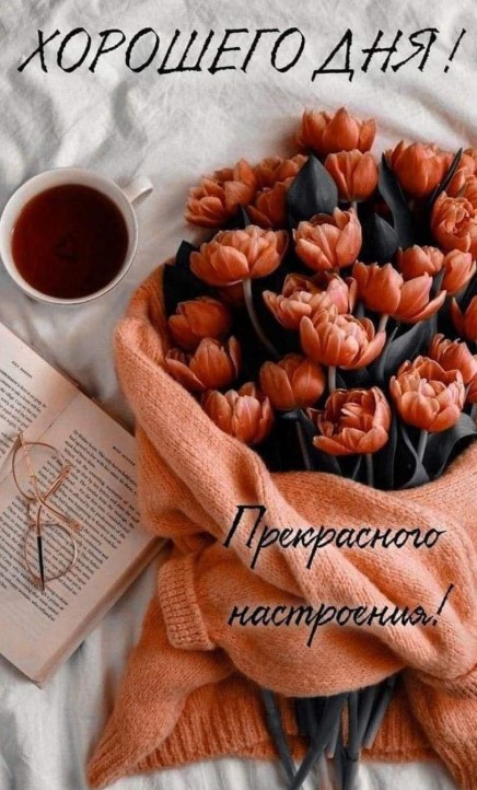Хорошего дня! Прекрасного настроения!
