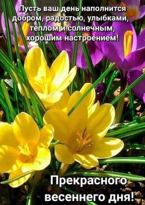 Пусть ваш день наполнится добром, радостью, улыбками, теплом!