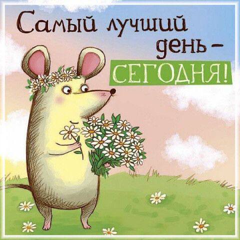 Картинка с милой мышкой, самый лучший день - сегодня!