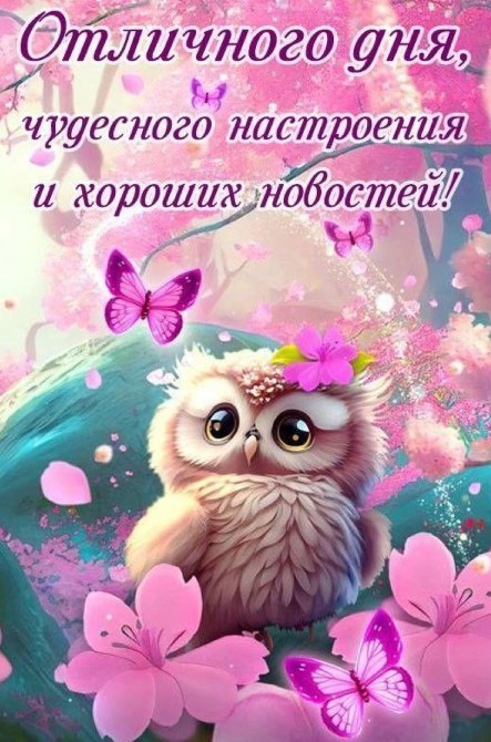 Отличного дня, чудесного настроения и хороших новостей!
