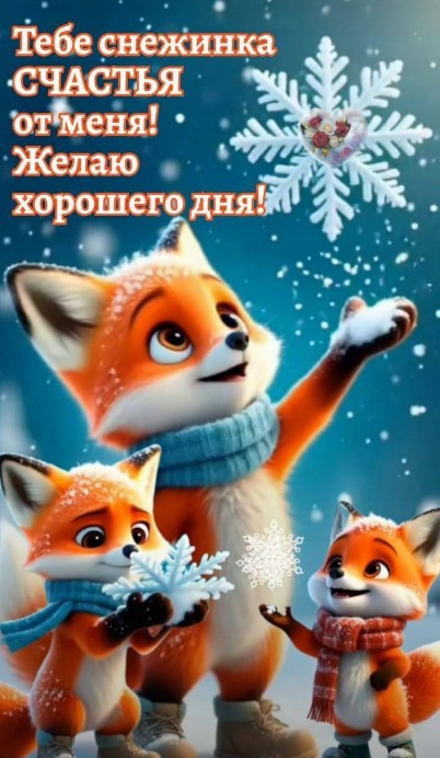Желаю просто хорошего, зимнего дня!