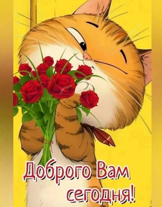 Открытка с милым котом и красными розами: Доброго дня!