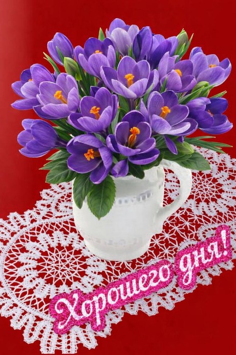 Красивая открытка с крокусами и пожеланием хорошего дня