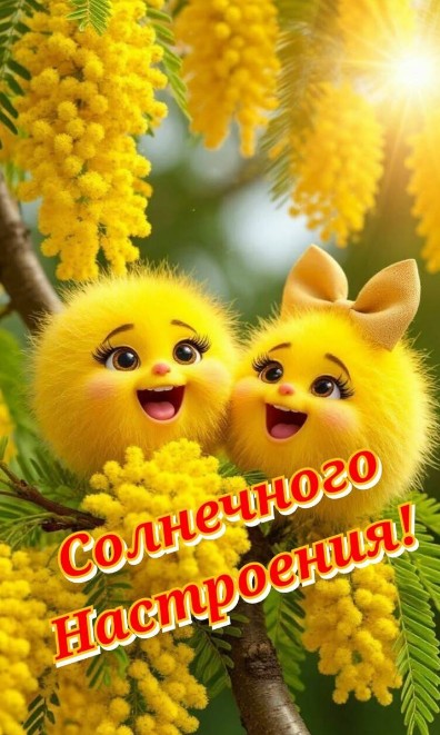 Открытка с пожеланием солнечного настроения с милыми пушистиками