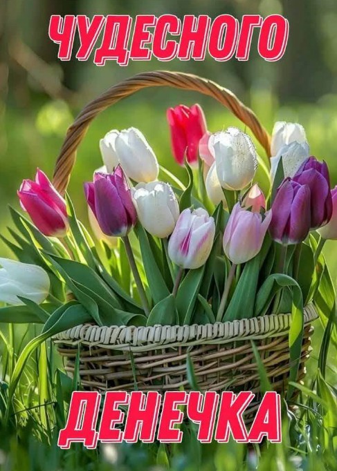 Открытка с пожеланием чудесного денечка с тюльпанами