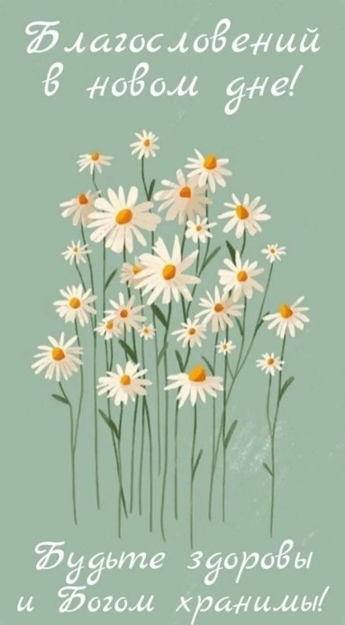 Открытка с пожеланием доброго утра и полевыми ромашками