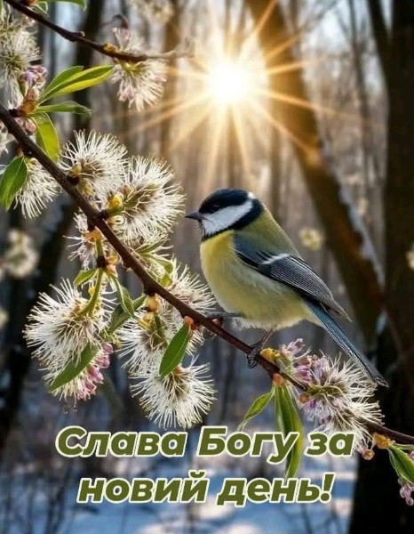 Открытка: Слава Богу за новый день с красивой синицей