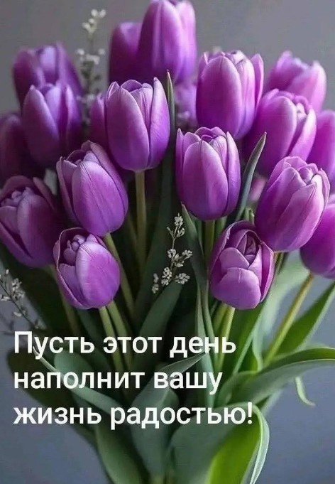 Красивая открытка с фиолетовыми тюльпанами и пожеланием радости