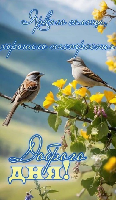 Открытка Доброго дня с птичками и желтыми цветами