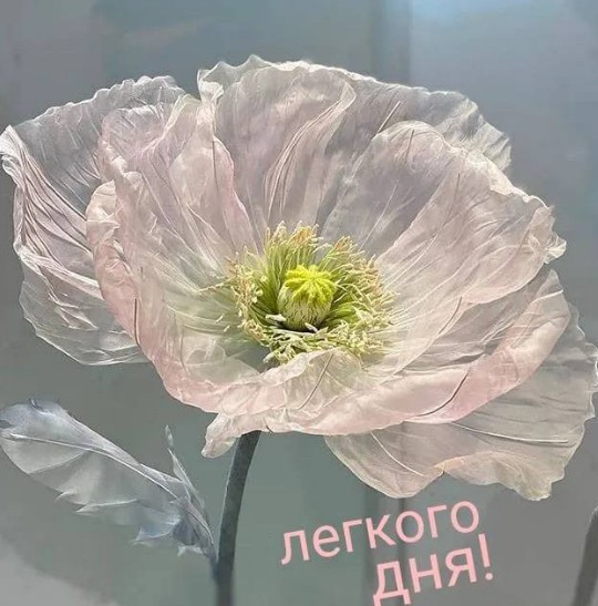 Открытка с нежным маком и пожеланием легкого дня
