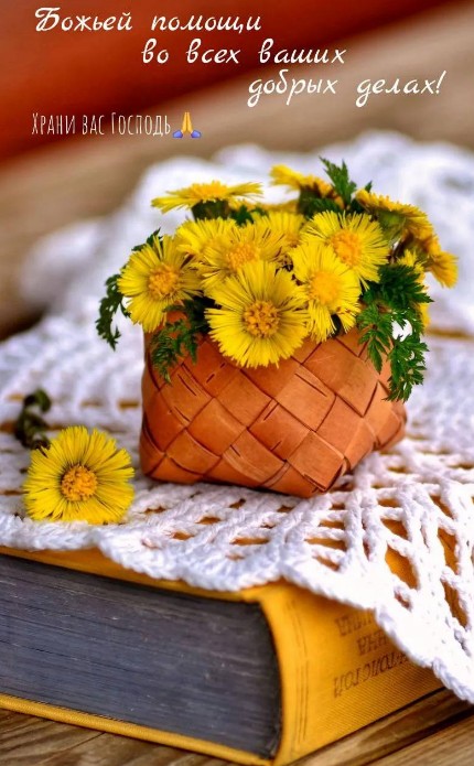 Букет желтых цветов мать-и-мачехи в берестяном лукошке на книге с белой салфеткой