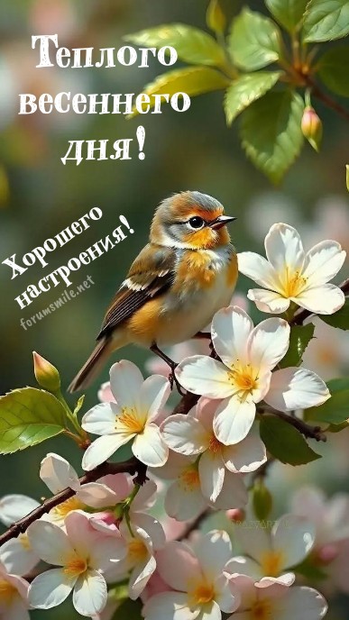 Открытка с пожеланием теплого весеннего дня