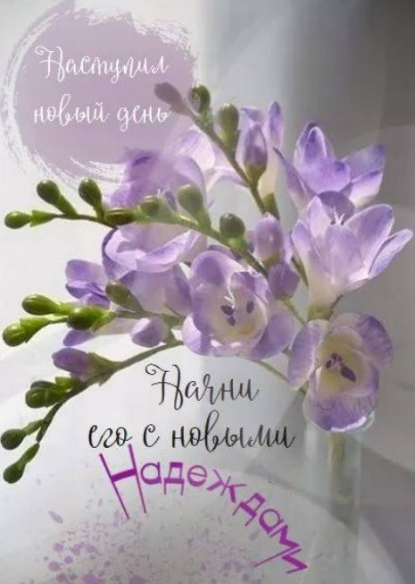 Открытка с нежными цветами: Наступил новый день, начни с надеждой